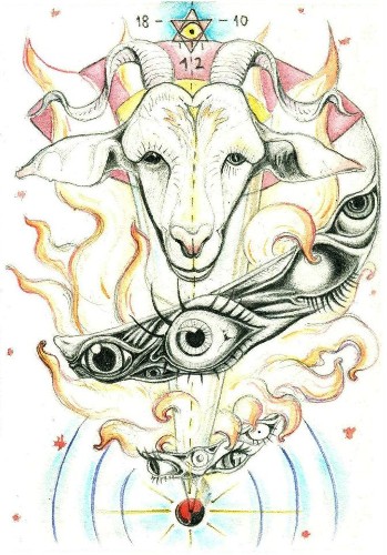 Goat's Eye Seed