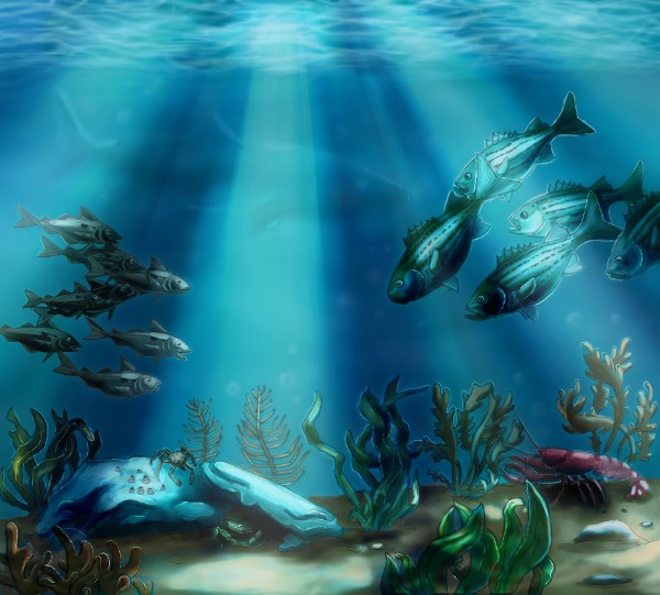 Ocean Illustration