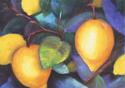 Shea's Lemons