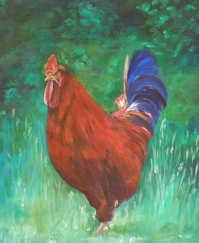 Rooster