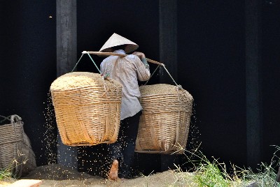Rice Carrier, Mekong Delta