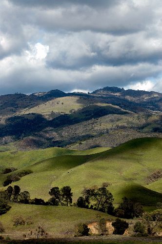 Central CA