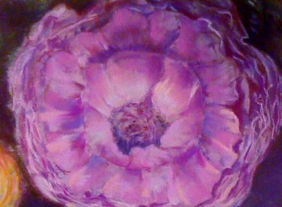 Peony