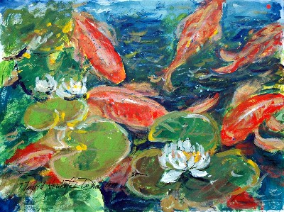 Koi