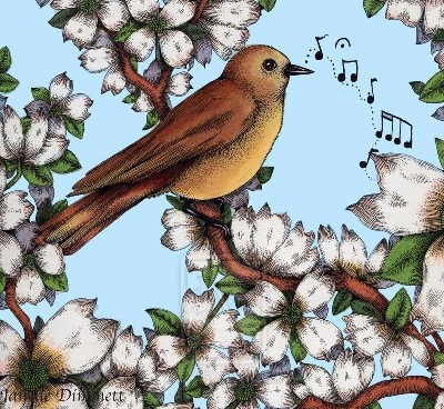 Bird Drawing