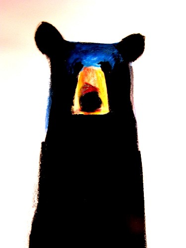 Long Tall Bear
