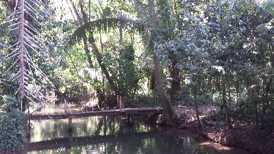 River in balize