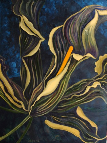 Calla Lilies