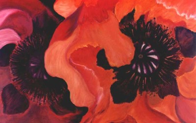 Two Poppies