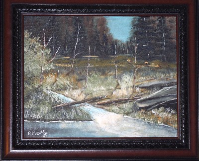 Elk in Meadow