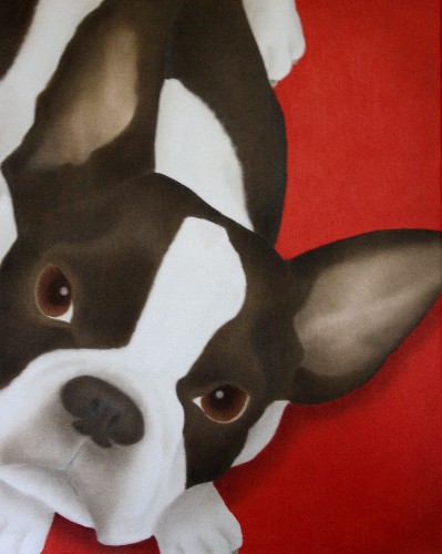 Faux Frenchie