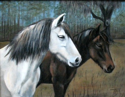 Cracker Horses