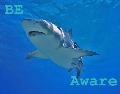 shark project